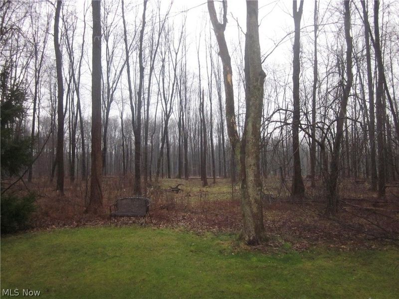 7181 Lexington Court, Northfield, OH 44067 Photo 33