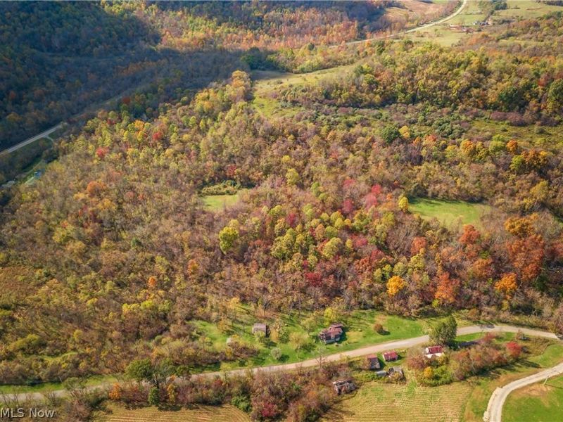 59501 Nevada Road, Quaker City, OH 43773 Photo 49