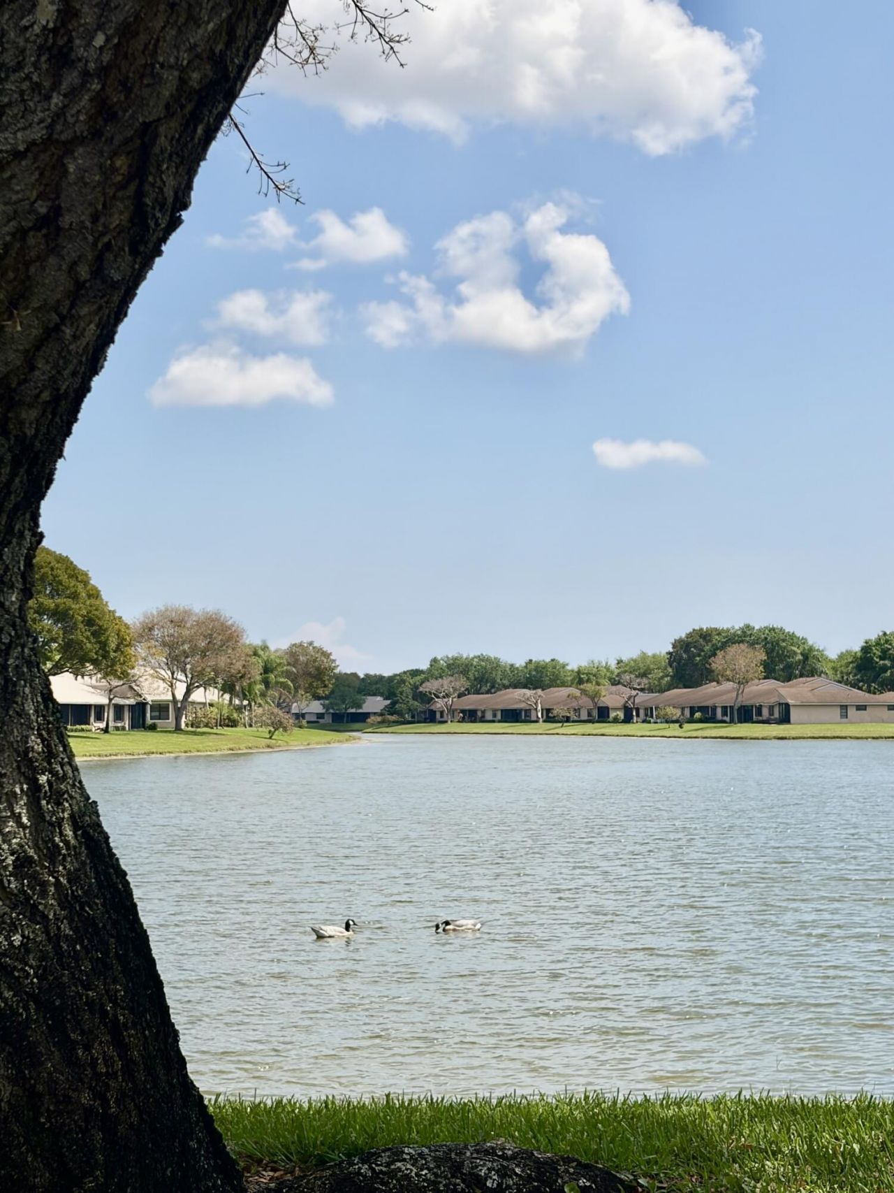 8107 Summerbreeze Lane, Boca Raton, FL 33496 Photo