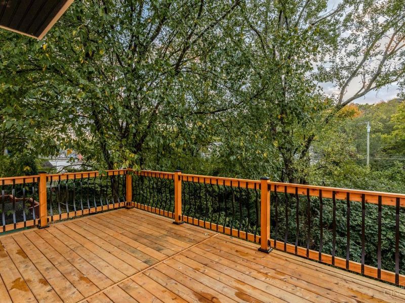 4561 Anthony Avenue, Cincinnati, OH 45223 Photo 33