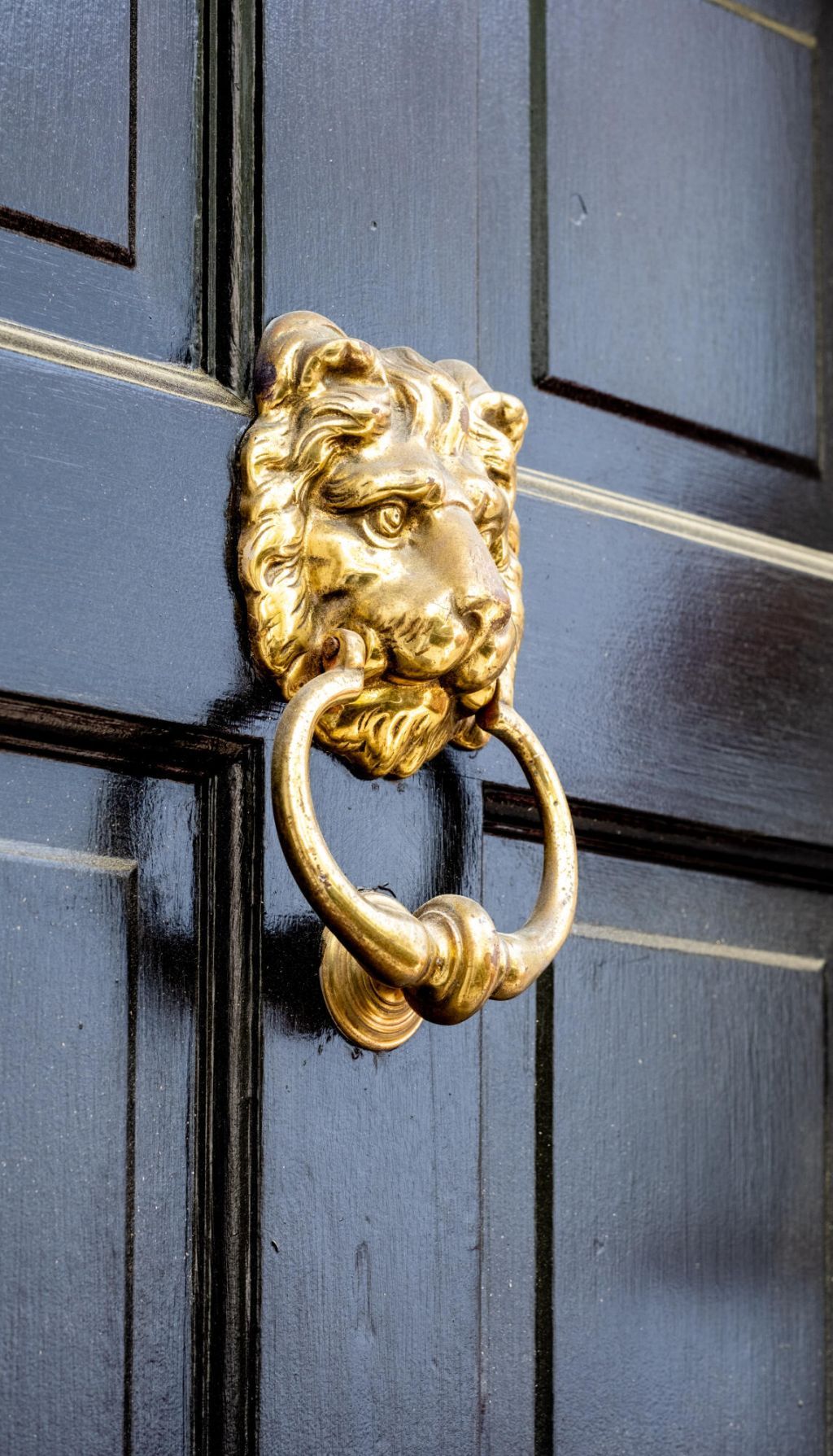 87 Tradd Street Photo 5