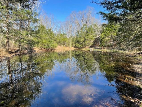 4240 Blackwell Den, Warm Springs, AR 72478