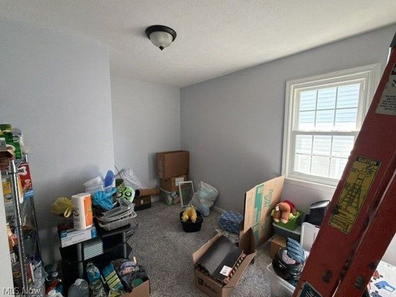 1451 Oldsmar Avenue, Madison, OH 44057 Photo 9