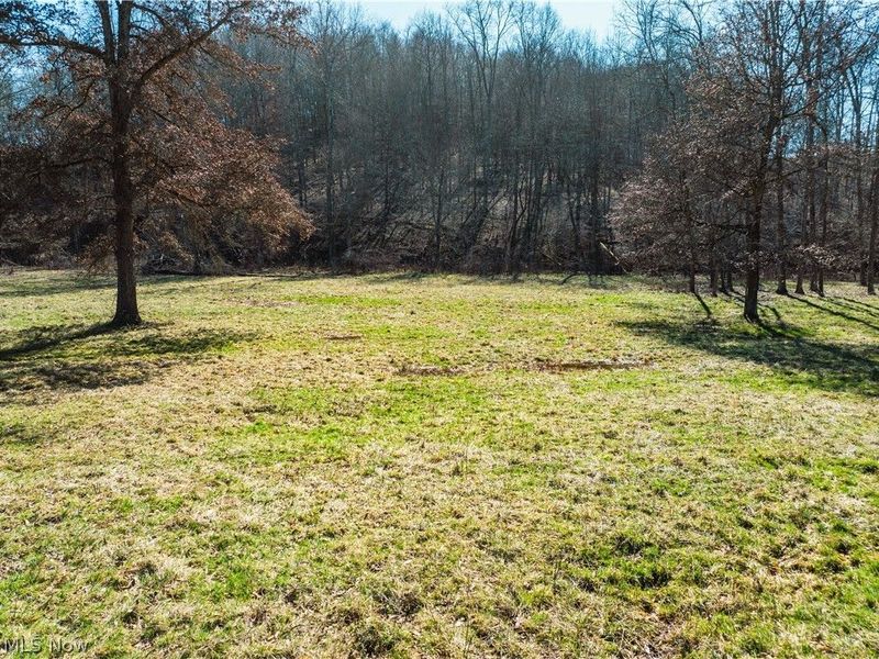 Eckley Road, Jewett, OH 43986 Photo 10