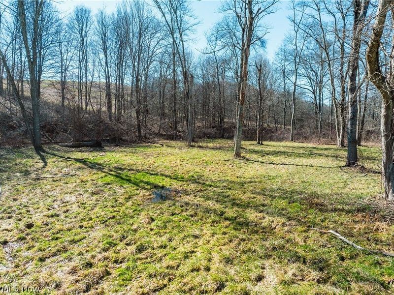 Eckley Road, Jewett, OH 43986 Photo 11