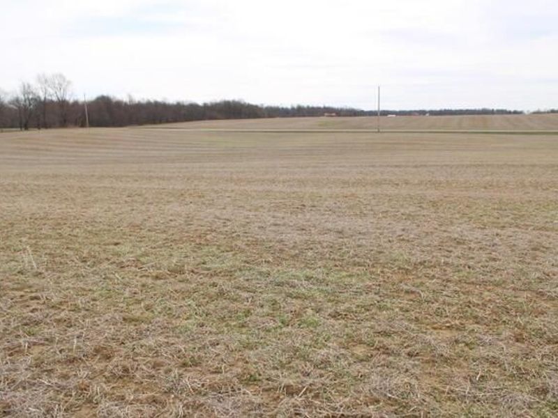 0 County Road 97, Mount Gilead, OH 43338 Photo 10