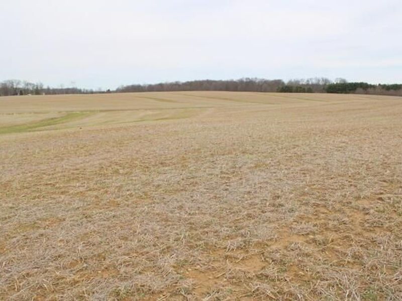 0 County Road 97, Mount Gilead, OH 43338 Photo 11