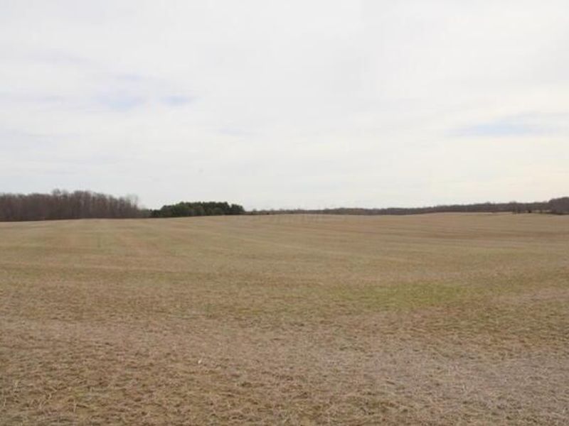 0 County Road 97, Mount Gilead, OH 43338 Photo 13