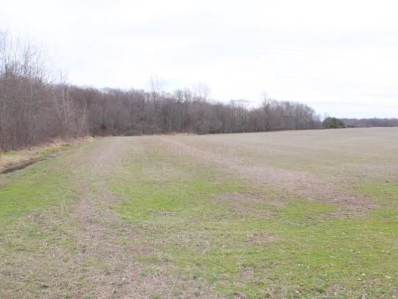 0 County Road 97, Mount Gilead, OH 43338 Photo 19