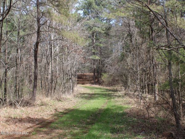 4500 Jaybird Road, Hernando, MS 38632