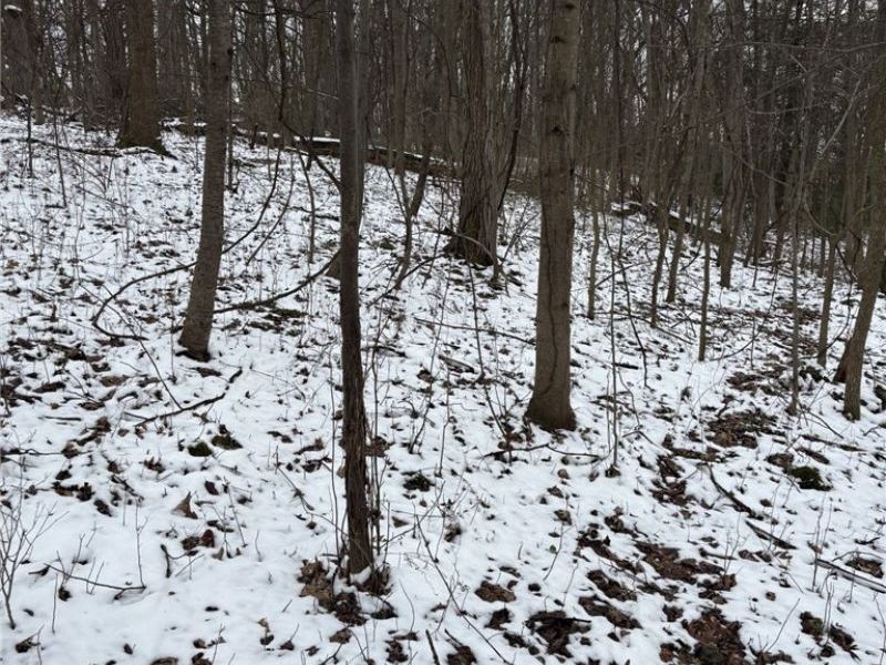 Oh-93, Dundee, OH 44624 Photo 10