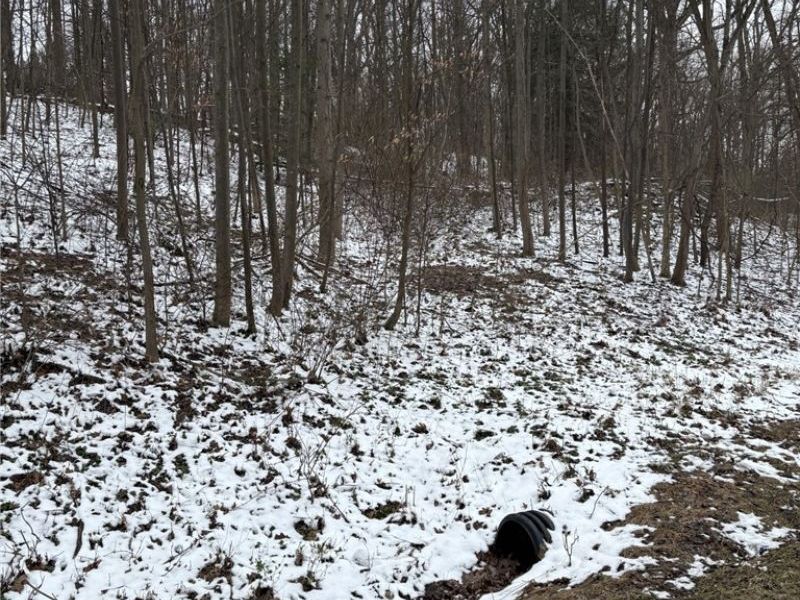 Oh-93, Dundee, OH 44624 Photo 2