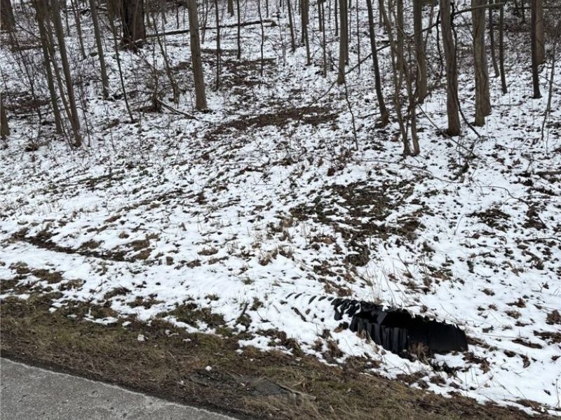 Oh-93, Dundee, OH 44624 Photo 3