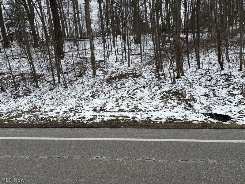 Oh-93, Dundee, OH 44624 Photo 4