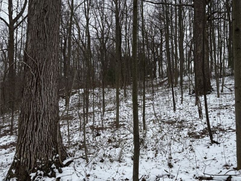 Oh-93, Dundee, OH 44624 Photo 5