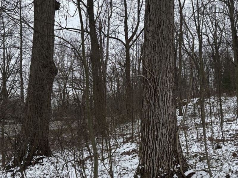 Oh-93, Dundee, OH 44624 Photo 6