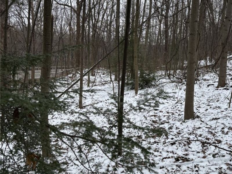 Oh-93, Dundee, OH 44624 Photo 8