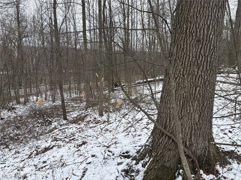 Oh-93, Dundee, OH 44624 Photo 9