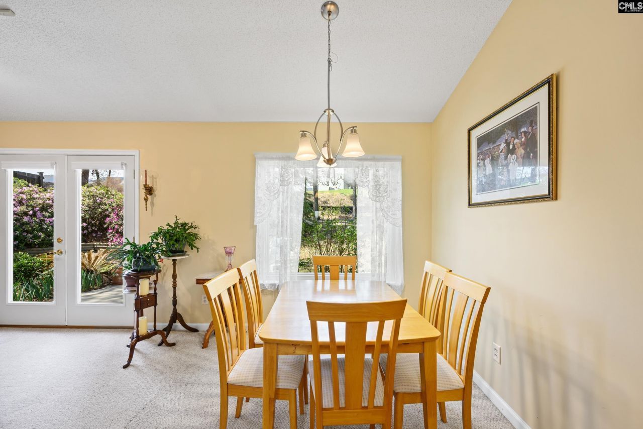 208 Amber Chase Court  Photo 12