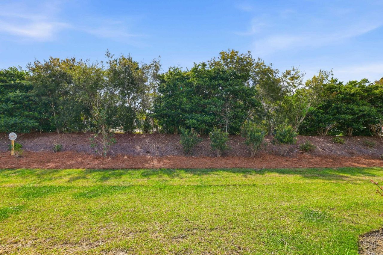 249 Bent Green Ct. Photo 33