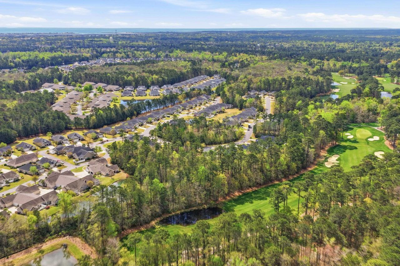 249 Bent Green Ct. Photo 37