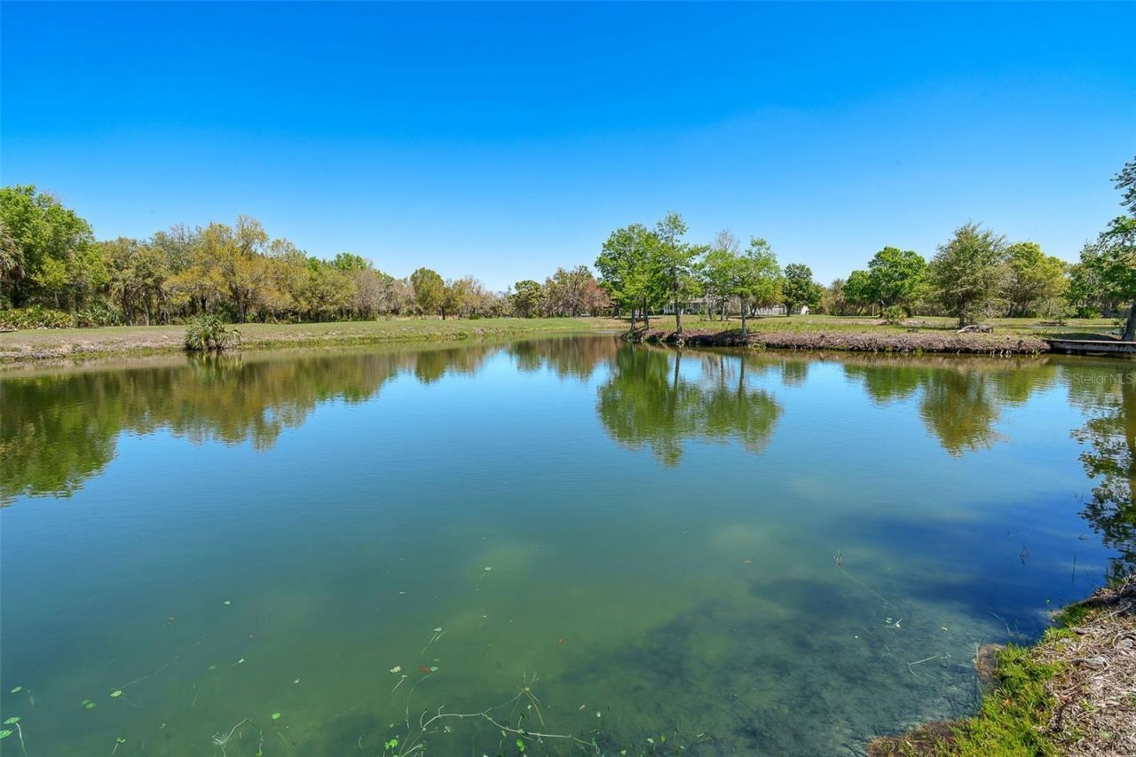 9299 SW Lipe Road, Arcadia, FL 34269 Photo