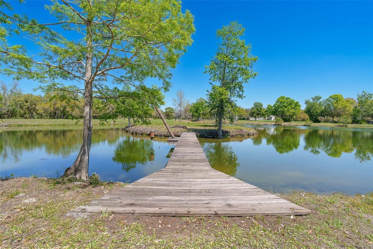 9299 SW Lipe Road, Arcadia, FL 34269 Photo