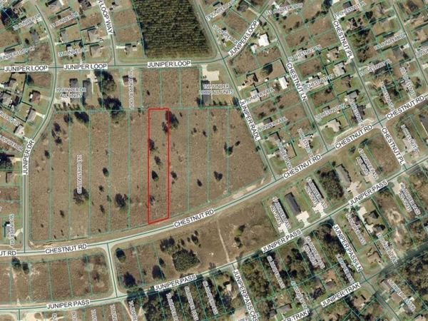 CHESTNUT ROAD , OCALA, FL 34480