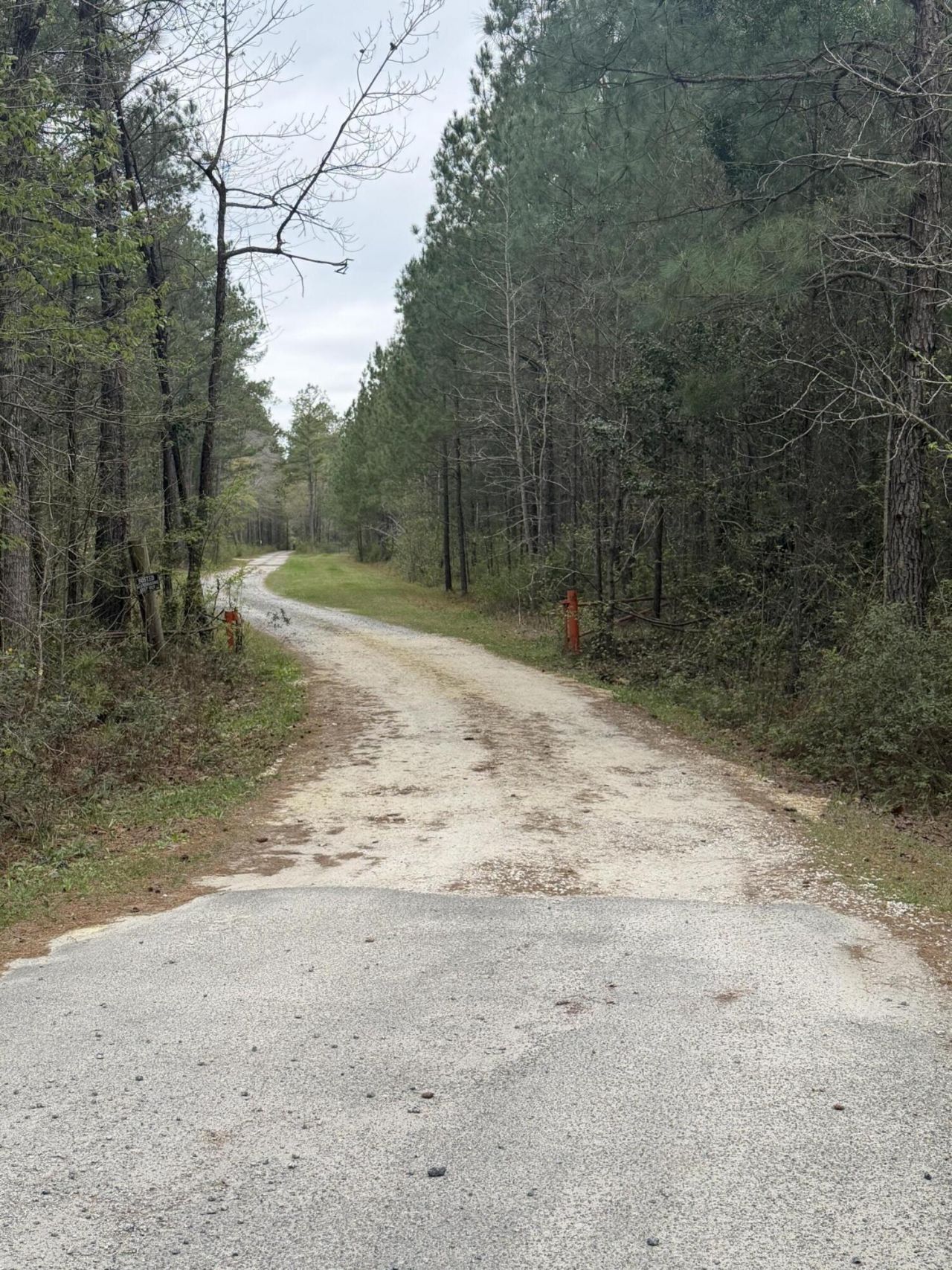 369 Gurney Kay Lane Photo 41