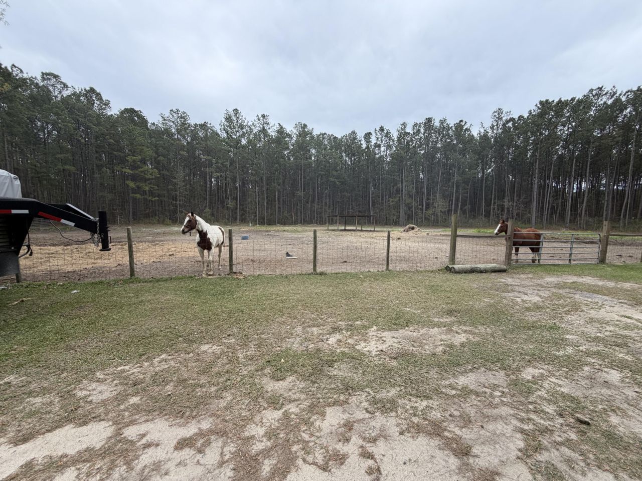 369 Gurney Kay Lane Photo 42