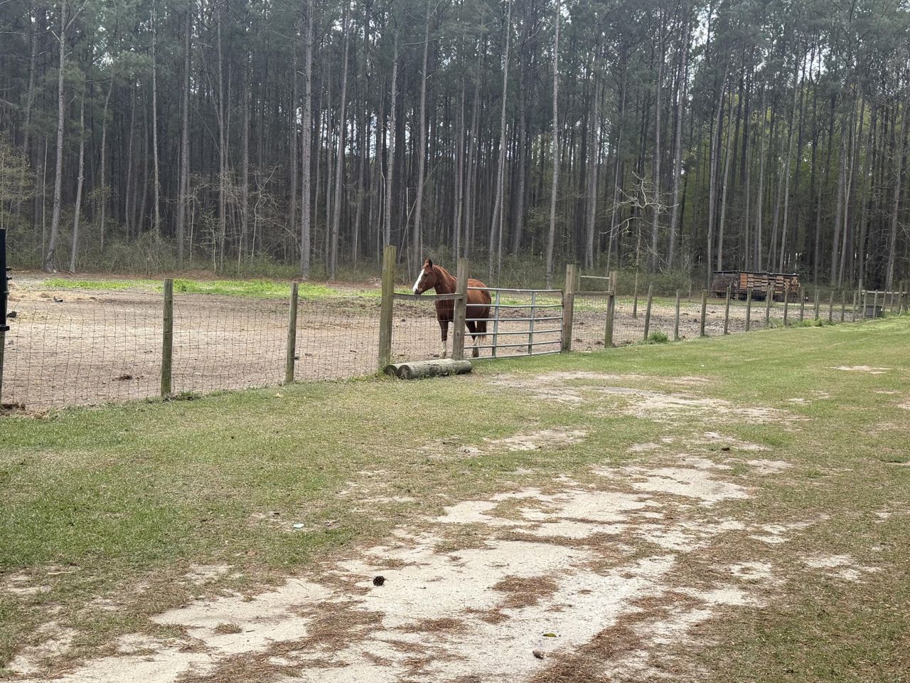 369 Gurney Kay Lane Photo 43