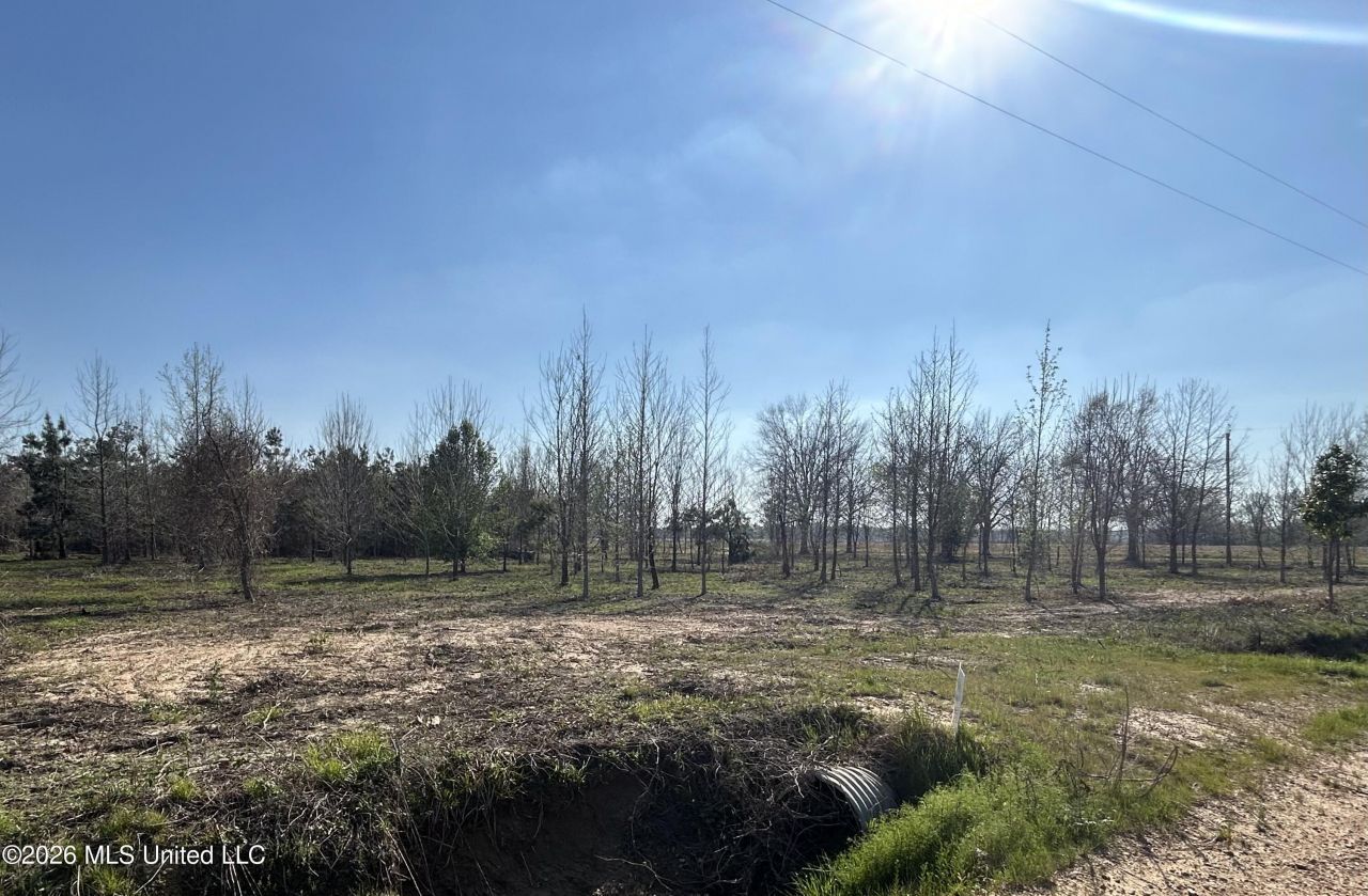 511 County Road 186, Greenwood, MS 38930 Main Photo