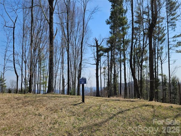 189 Dancing Bear Drive, Hendersonville, NC 28792