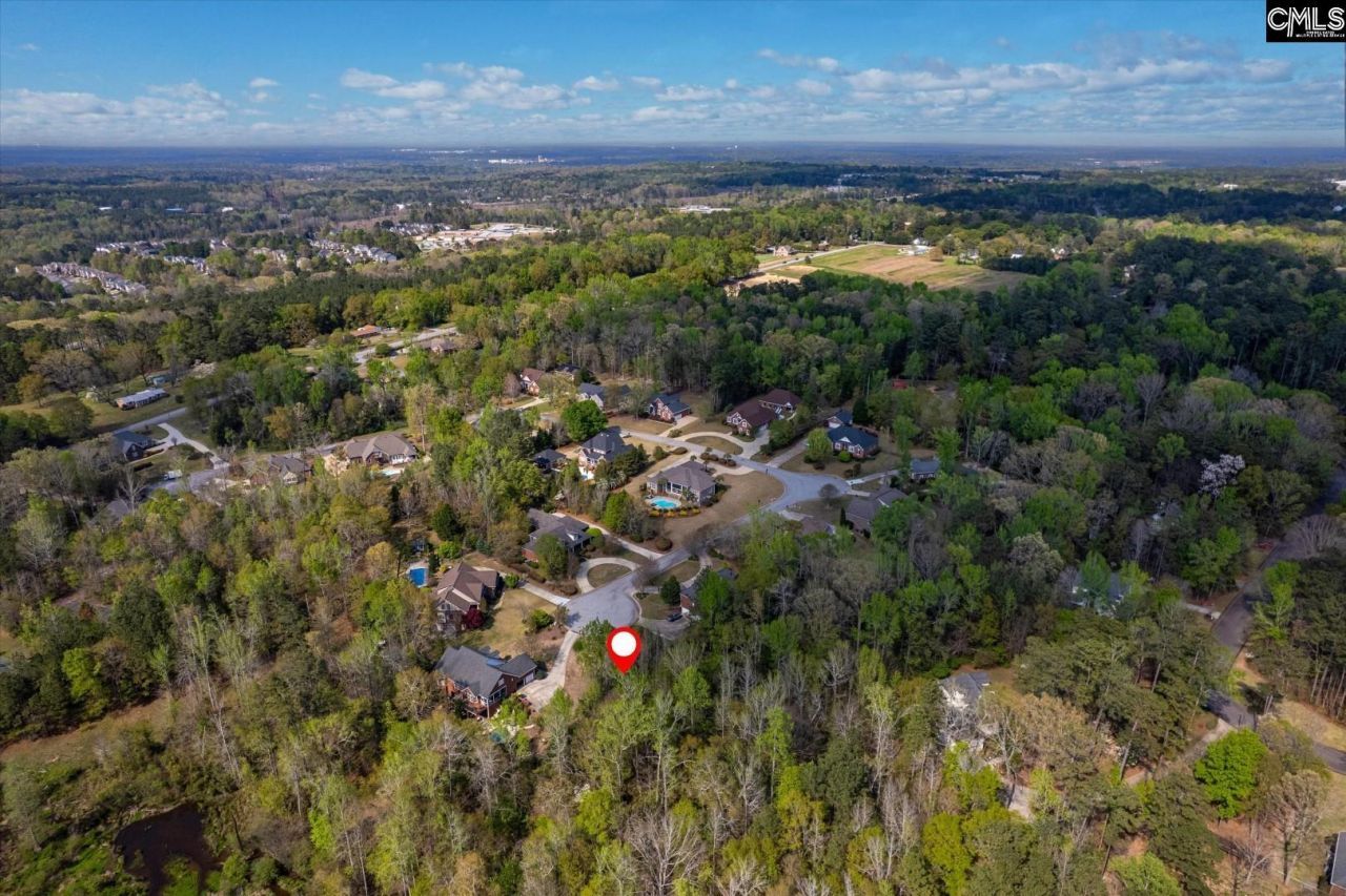 145 Autumn Oaks Lane Photo 6