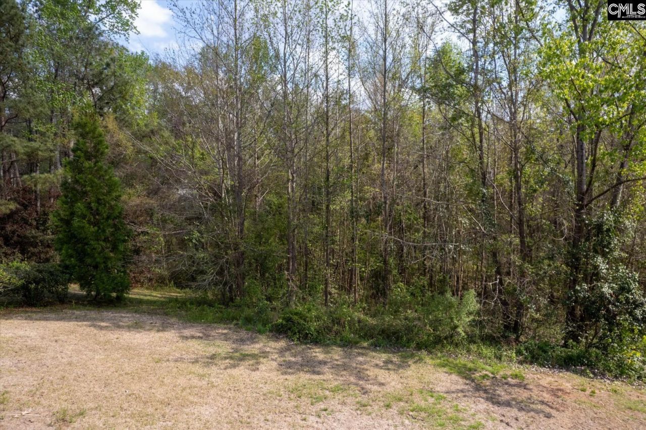 145 Autumn Oaks Lane Photo 8