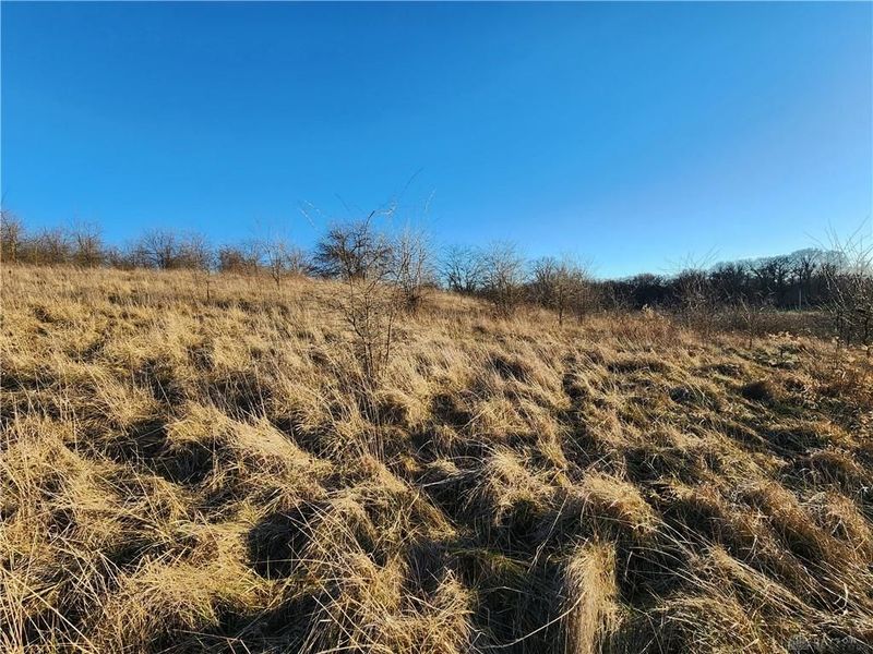 Tract 8 Middle Urbana Road, Urbana, OH 43078 Photo 5