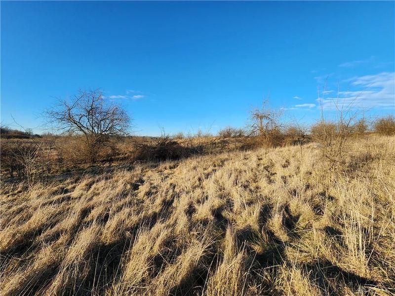 Tract 8 Middle Urbana Road, Urbana, OH 43078 Photo 6