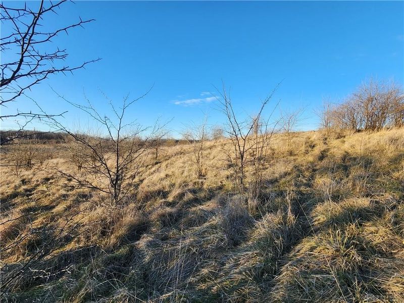 Tract 8 Middle Urbana Road, Urbana, OH 43078 Photo 8