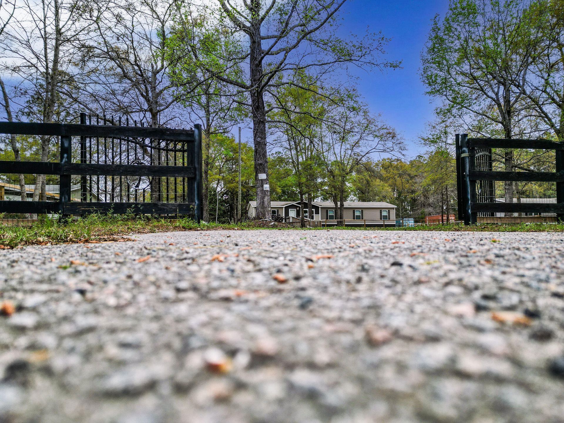 809 Coral Acres Drive Photo 28