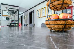 809 Coral Acres Drive photo 4