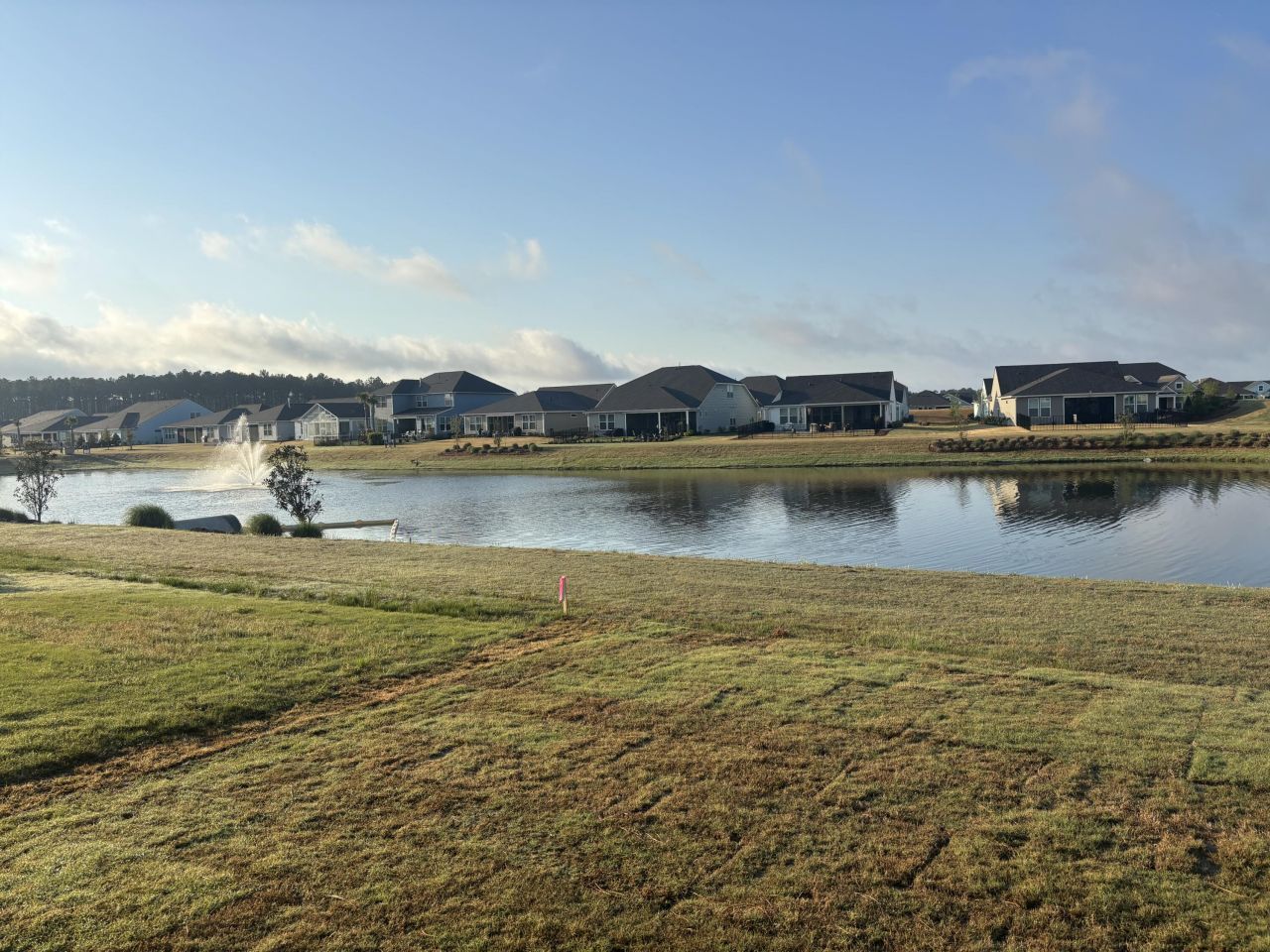 505 Pink Lily Lane Photo 3