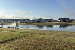 505 Pink Lily Lane photo 4