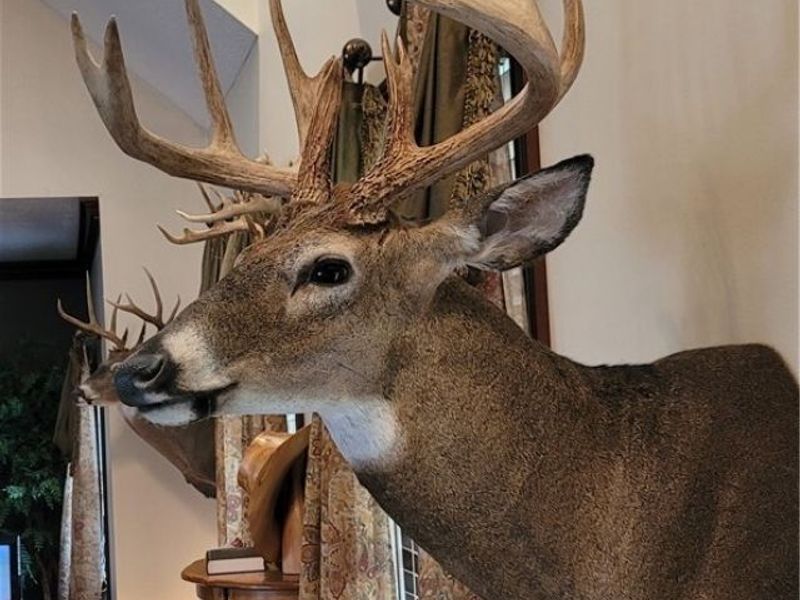 9470 State Route 669, Roseville, OH 43777 Photo 10