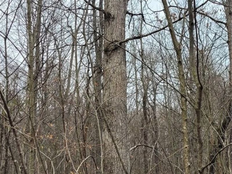 9470 State Route 669, Roseville, OH 43777 Photo 11