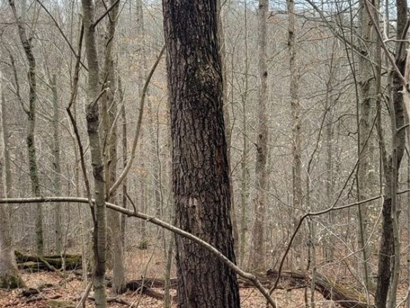 9470 State Route 669, Roseville, OH 43777 Photo 12