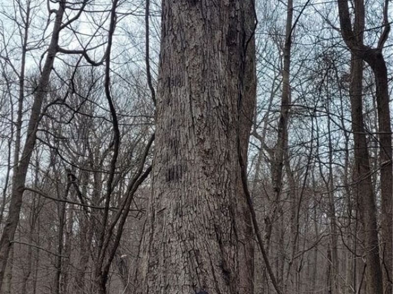 9470 State Route 669, Roseville, OH 43777 Photo 14