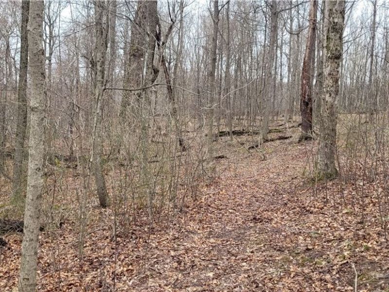 9470 State Route 669, Roseville, OH 43777 Photo 15