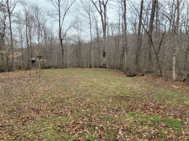 9470 State Route 669, Roseville, OH 43777 Photo 17