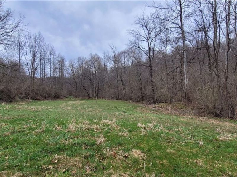 9470 State Route 669, Roseville, OH 43777 Photo 22