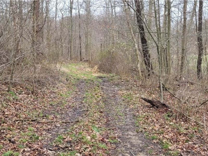 9470 State Route 669, Roseville, OH 43777 Photo 23